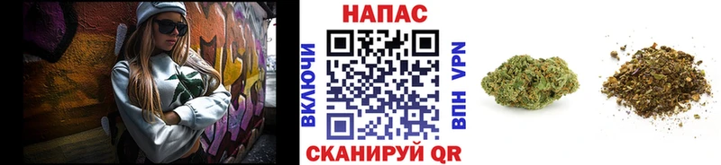 Каннабис индика  Дрезна 